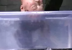 Soy un amigo Gay videos caseros latinos pornos gratis