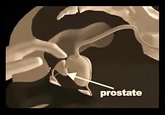 ¡La razón principal por la que las mujeres lecheras aman los pies de la BBC! porno latino en castellano