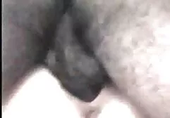 Transerotica World, Janelle Fennec sour cream after xxx gratis en español latino fucking the mob